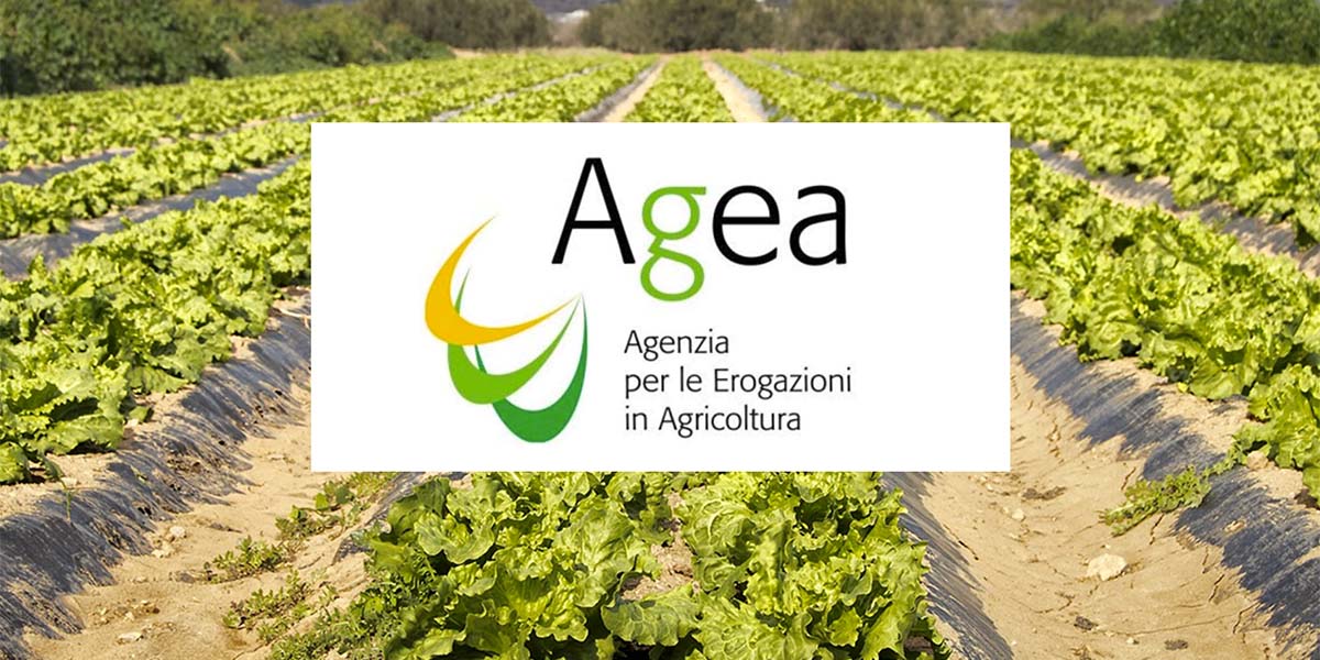 agea