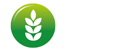 area fiscale