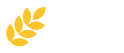 area tecnico