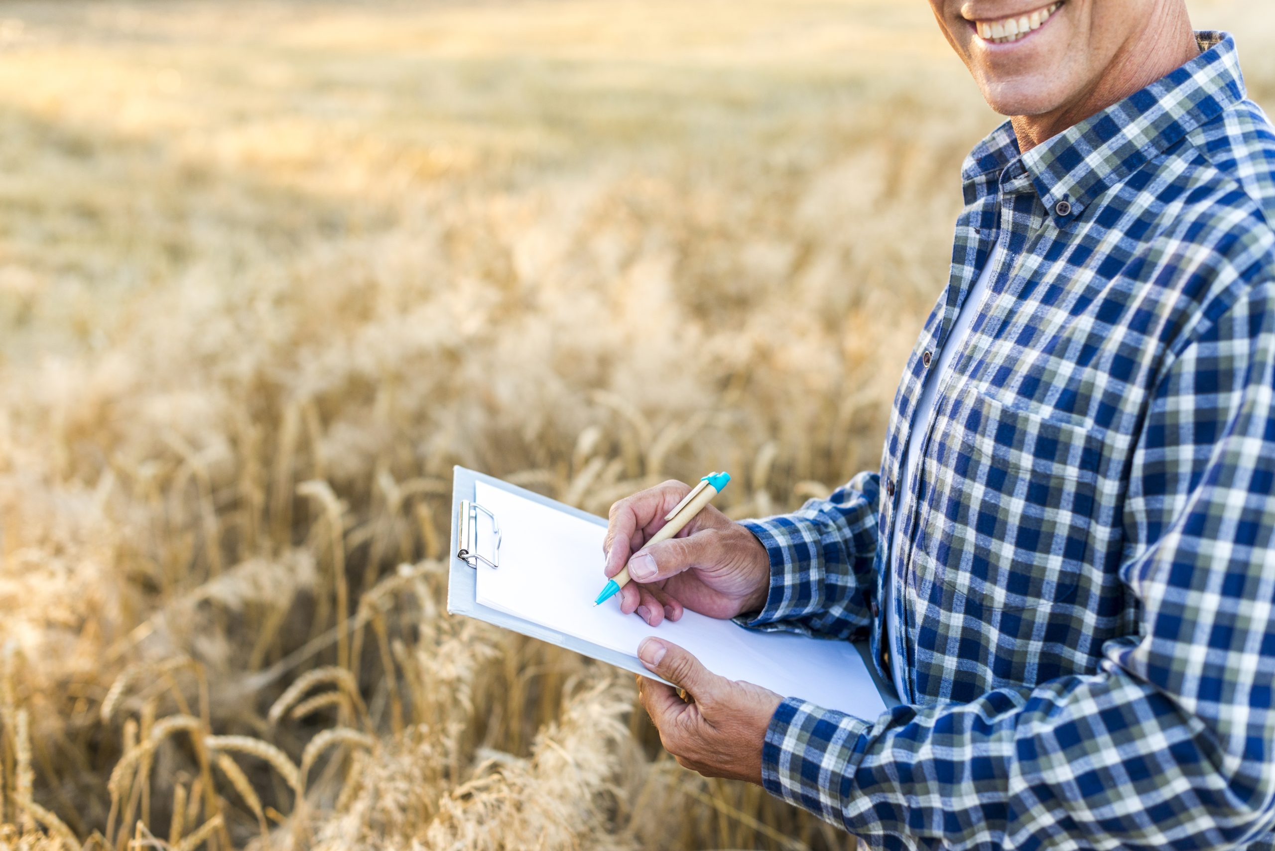 man writing clipboard wheat field